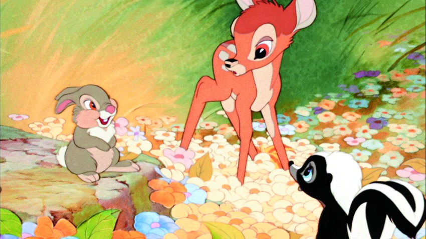 Bambi_Photo_03(2)