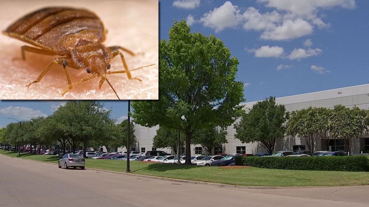 Bed Bugs Infest Government Office That Deals With Disasters NBC4