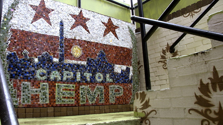 Capitol-Hemp-Mosaic