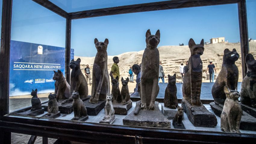 Catmummies