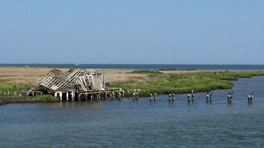 Changing Chesapeake Parallax Cover Photo