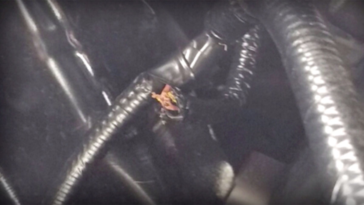 Class-Action Lawsuits: Car Wires Attract Rodents, Cause Thousands in