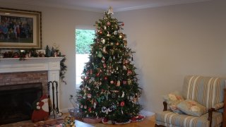 Photo of a Christmas Tree