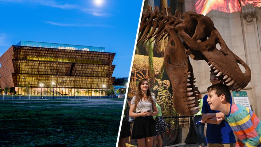 dc_museums_final_two