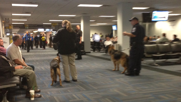 Dulles Airport Delays Bomb Sniffing Dogs Andrew Pedersen 092412