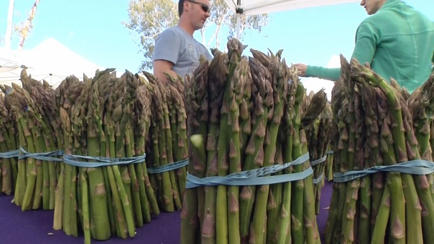Farmers-Market-Hillcrest_2