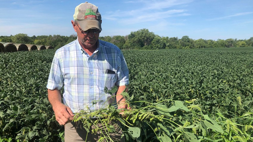 Election 2020 Trump Angry Farmers