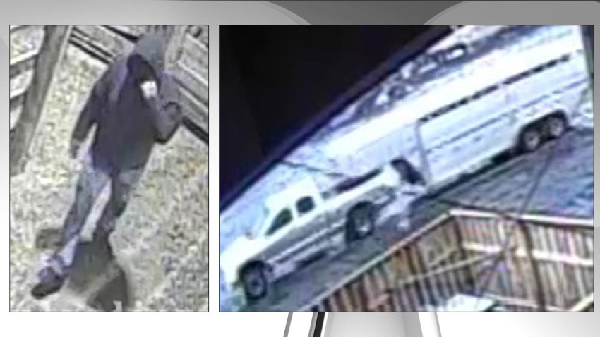 Fauquier Cattle Theft