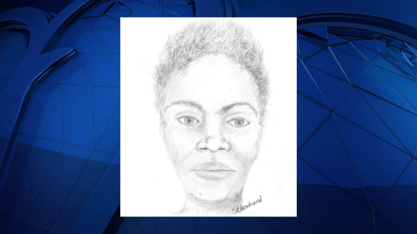 Forestville Murder Victim Sketch 041817