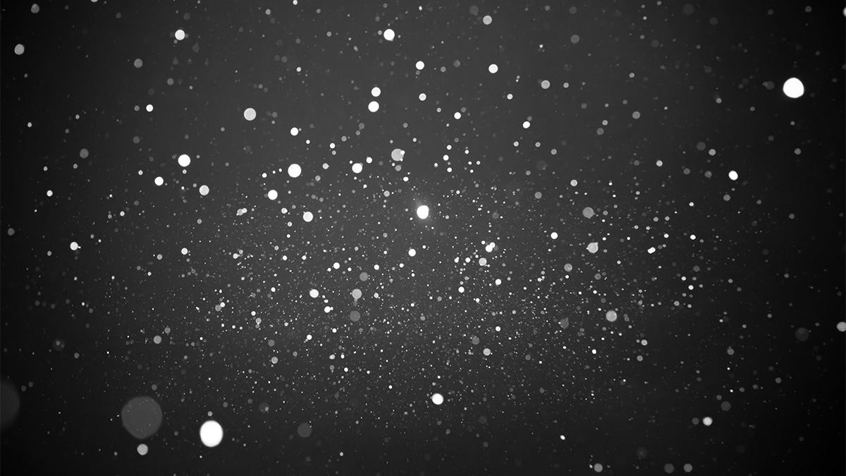 Wet Snow, Rain Continue in DC Area; More Wintry Weather Late Thursday - Vimarsana News