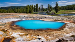 Black Opal Pool in Biscuit Basin, Yellowstone National Park