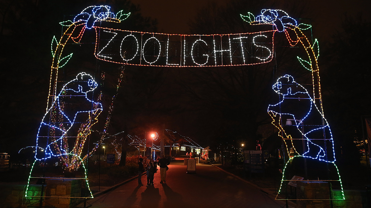 National Zoo’s ‘Boo at the Zoo’ and ‘Zoo Lights’ Canceled NBC4 Washington