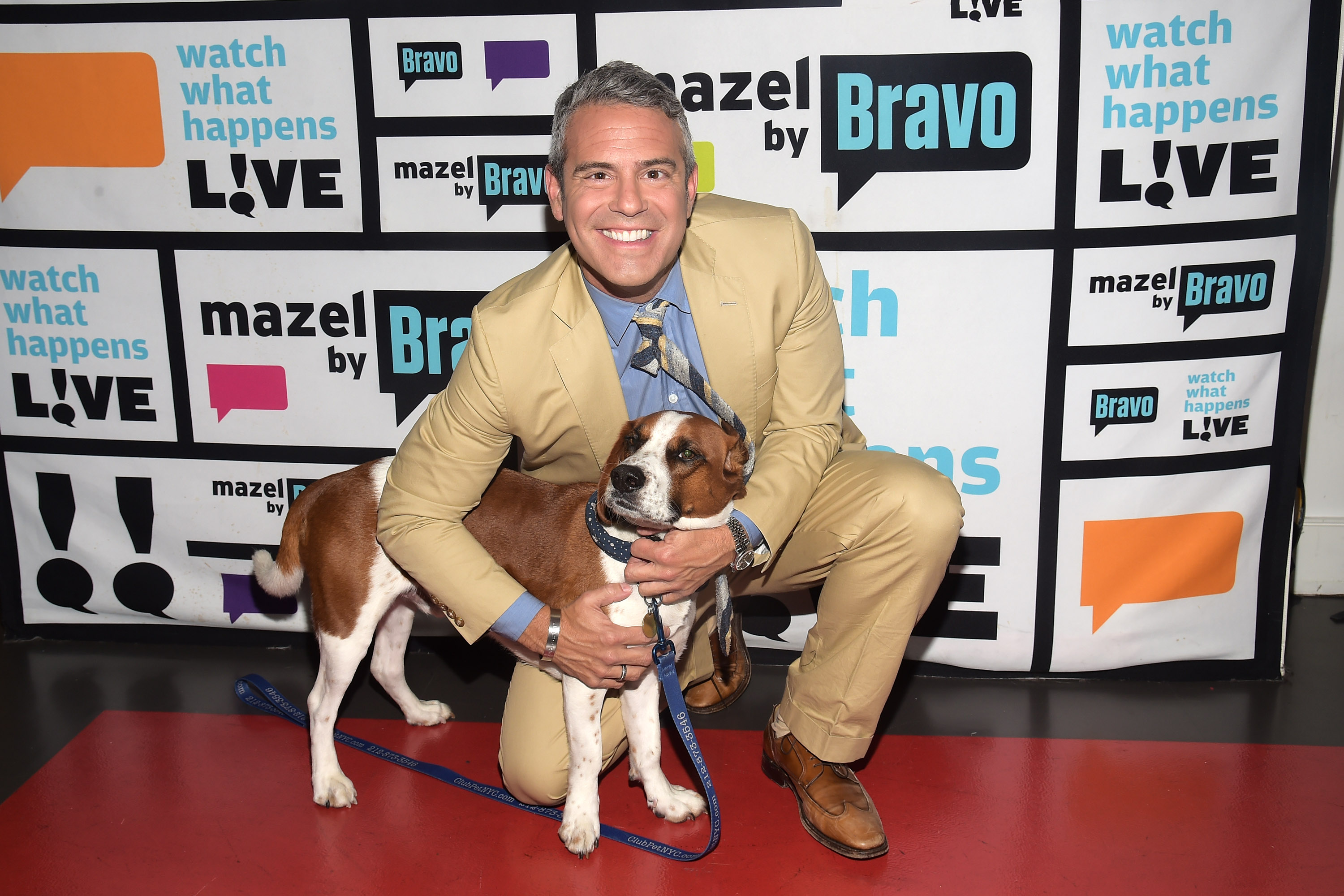 Andy Cohen Announces That He Has Re-Homed Adopted Dog Wacha