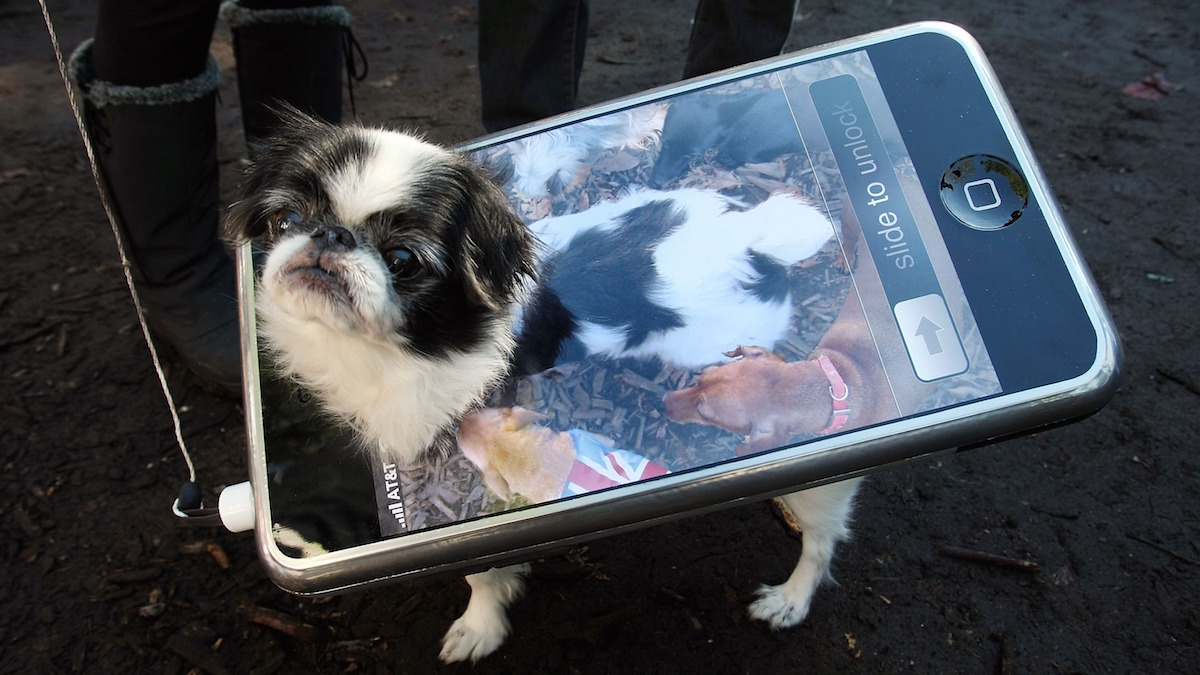 6 Free Must-Have Apps for Pet Owners – NBC4 Washington 6 Free Must-Have Apps for Pet Owners – NBC4 Washington