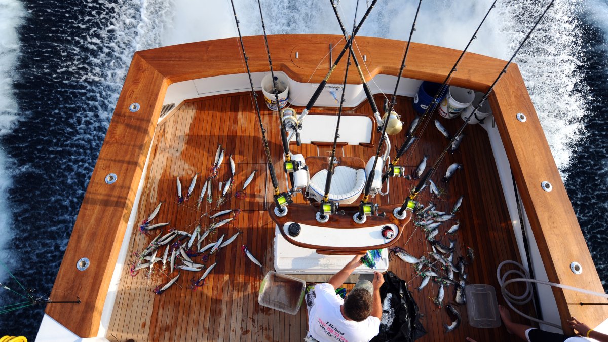 Maryland White Marlin Tournament With Million-Dollar Prizes to Proceed