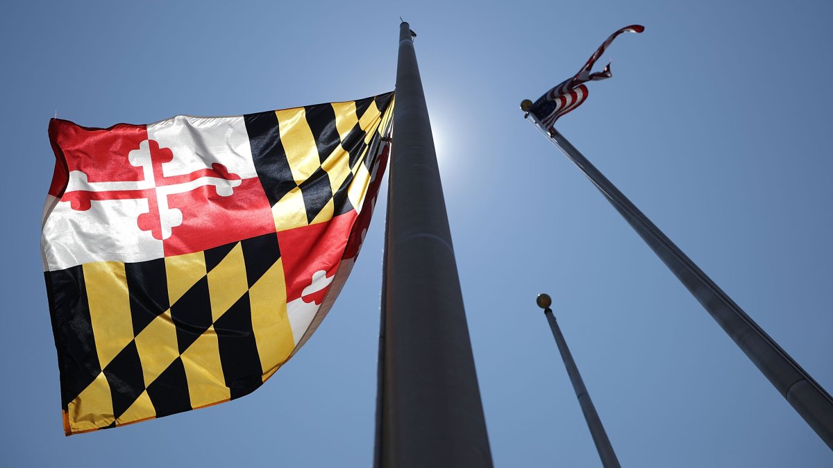 Флаг Мэриленда. Maryland Flag.