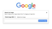 Google Image Search