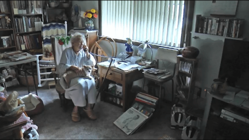 Grandmother Escapes Kidnappers