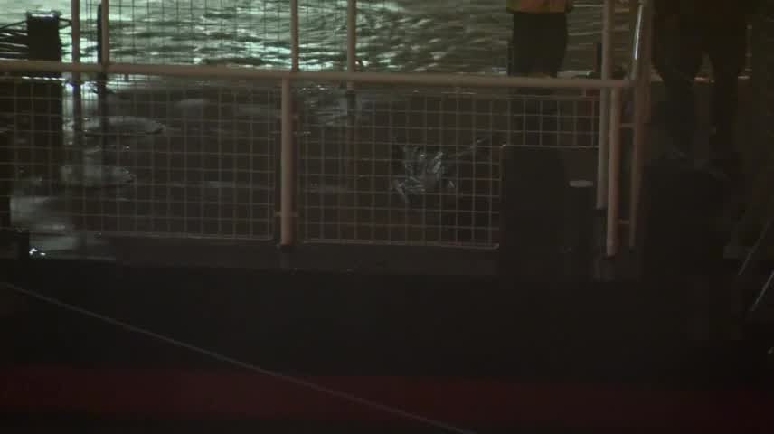 Https Www Nbcwashington Com Local Morning Weather May 30 2019 Washington Dc 159475 Https Media Nbcwashington Com 2019 09 Morning Weather May 30 2019 1 Jpg Fit 835 2c470 Morning Weather May 30 Storm Team4 Meteorologist Chuck