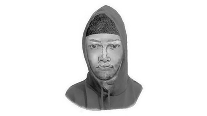 Halloween Child Sex Assault composite sketch