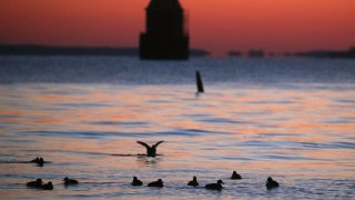 Sandy Point Shoal Lighthouse