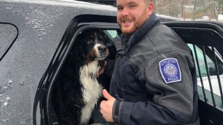 A dog rescued from an icy lake stands with the officer who saved it