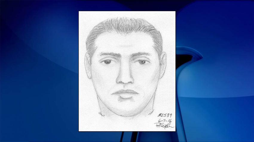 Lorton-assault-suspect-composite