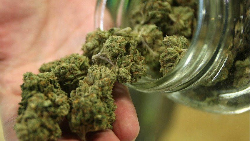 Medical-Marijuana-Lead
