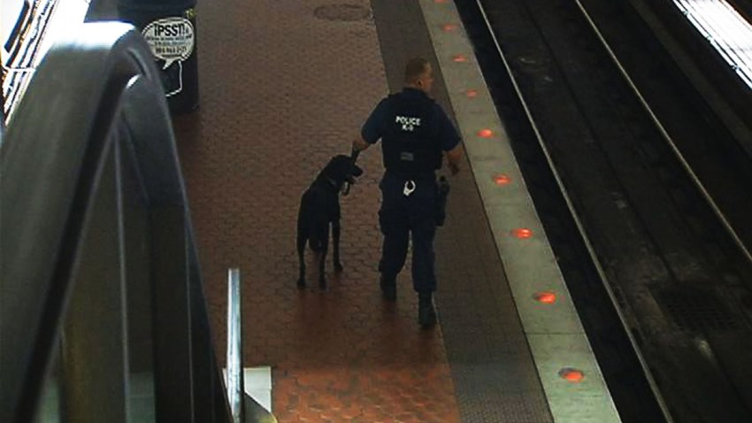 Metro Bomb Sniffing Dogs Training 092513