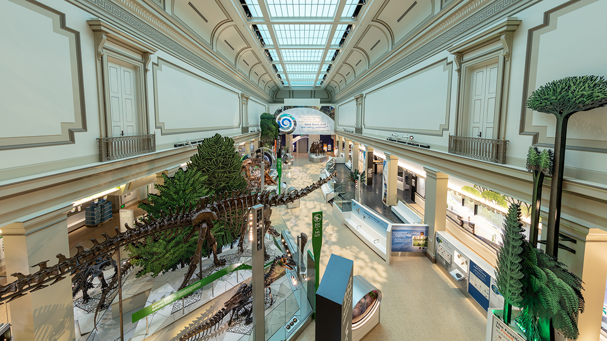 museum of natural history dinosaur hall