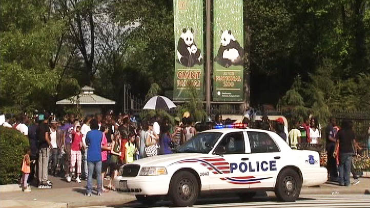 National Zoo Stabbing