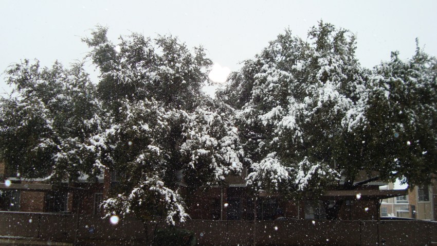 39288625rese_20010822_01340.jpg