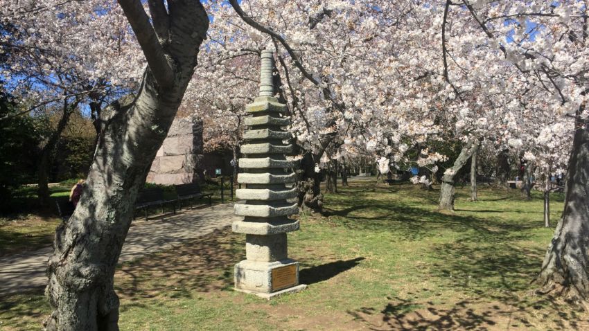 Pagoda and blossoms