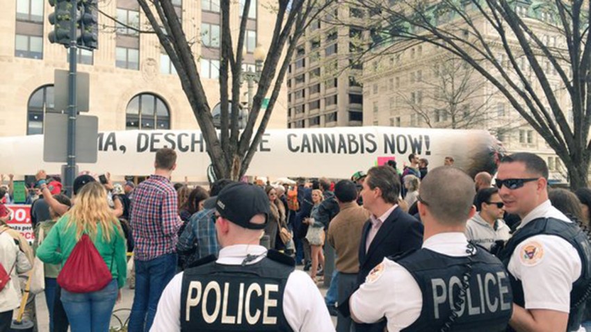 PotProtest2