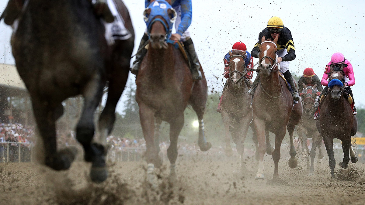 Horse Breaks Leg, Is Euthanized During Race Before Preakness NBC4