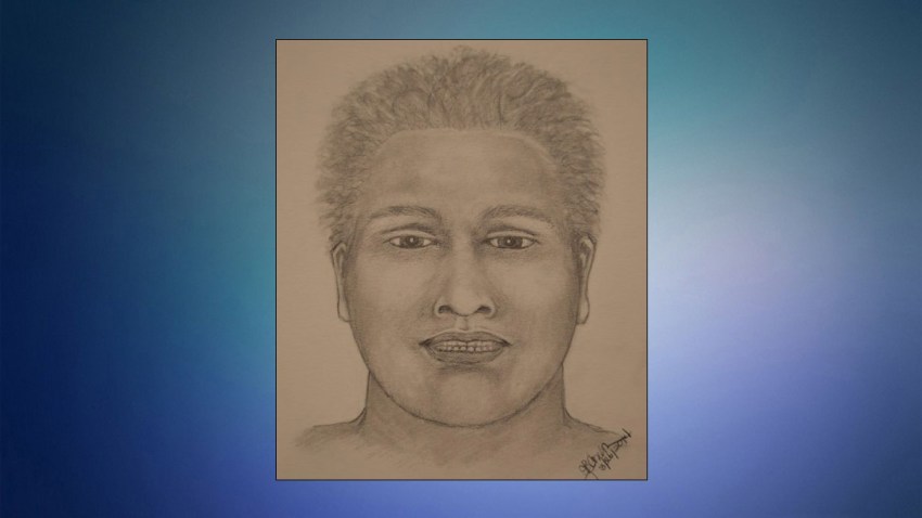 Prince Georges County 95-year-old woman rape suspect sketch