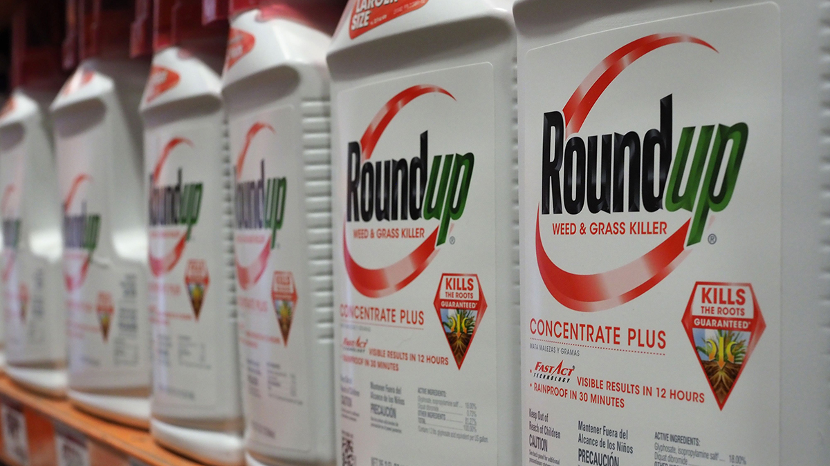 Bayer Must Pay $2.25 Billion After Jury Finds Roundup Weed Killer ...