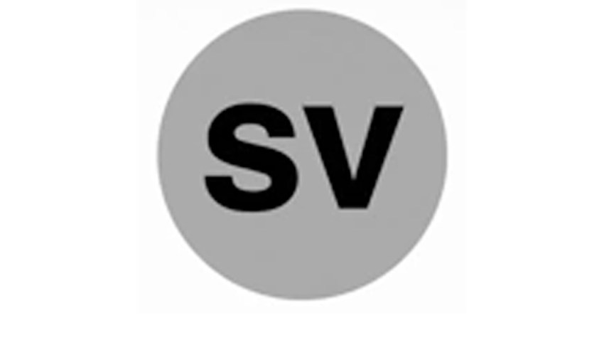 Silver Line Logo NEW