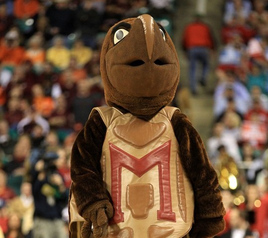 Testudo
