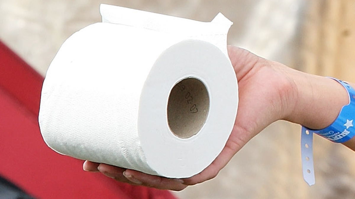 paper toilet