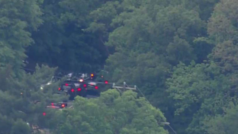 George (given name) visual data 6