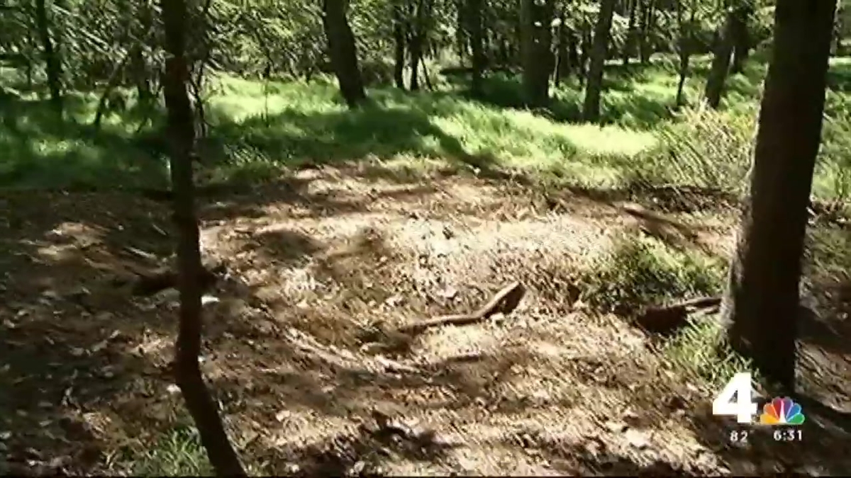 Four Charged in Death of Man Found in Shallow Grave in Montgomery