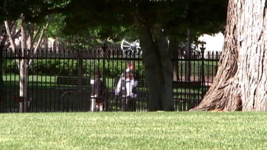 White House Fence Jumper 051617