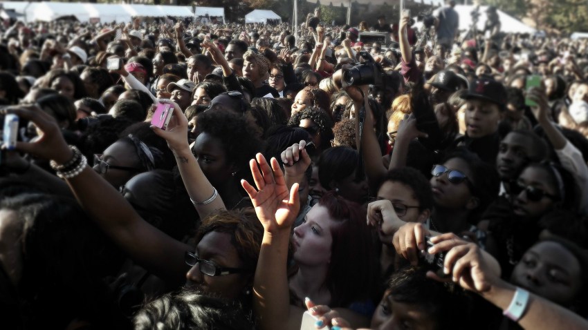 Yardfest Crowd