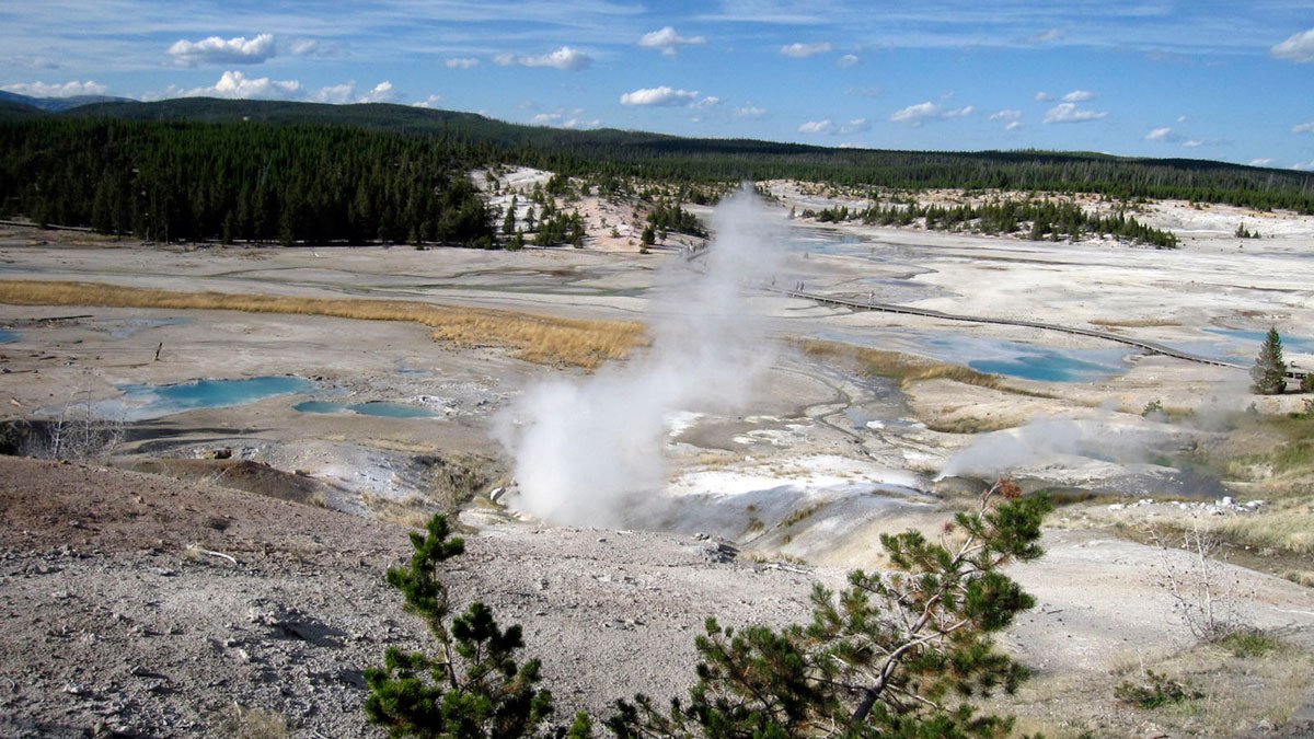 Yellowstone: Woman in Critical Condition After Trying to Save Dog From Hot Spring – NBC4 Washington - Vimarsana News