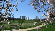 The U.S National Arboretum is a beautiful sight to see year-round, but when it's surrounded by cherry blossoms it's even more alluring.