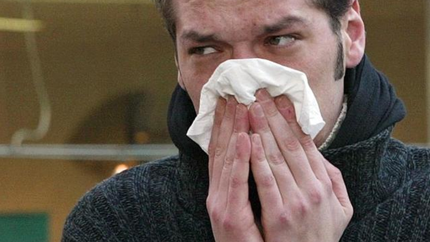 allergy