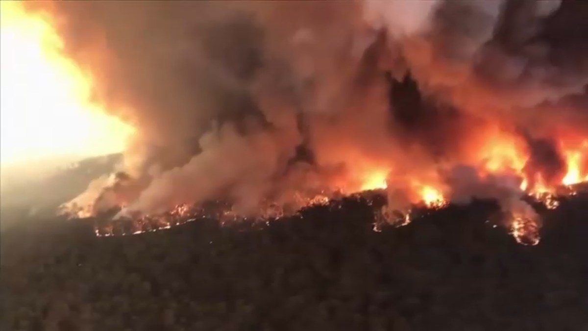 How Climate Change Is Impacting Australia’s Wildfires - NBC4 Washington