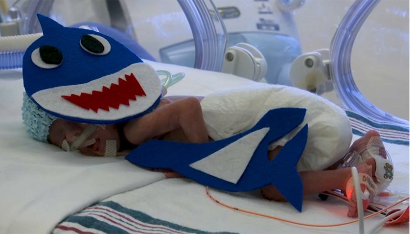 baby shark