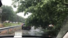 beltway downed tree